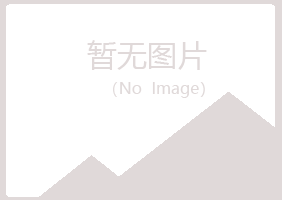 大新县惜雪采矿有限公司